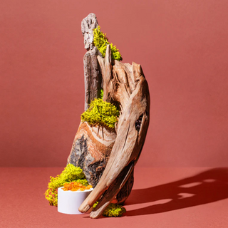 MOMENTS IN LOVE: white cedar + bergamot + amber