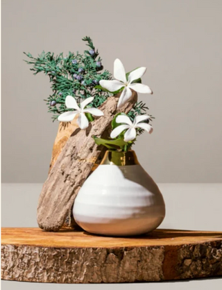 BEYOND THE CLOUDS BAMBOO INCENSE: cedarwood + neroli + balsam