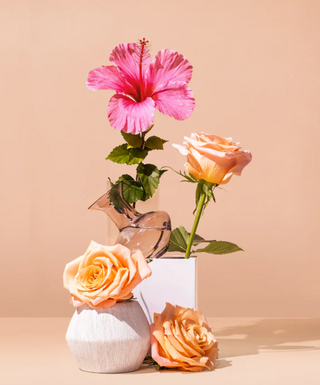 INTIMATE FRIENDS ROOM + BODY SPRAY: rosewater + hibiscus + musk