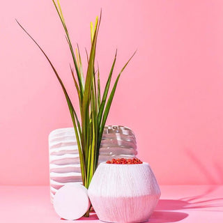 EASE OUT CANDLE : vetiver + sandalwood + pink pepper
